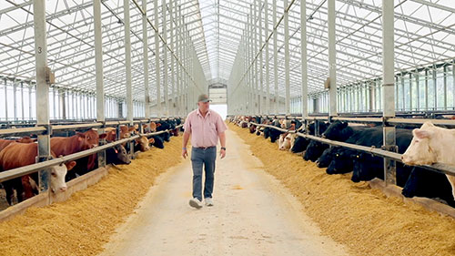 提升牛棚设施和环境