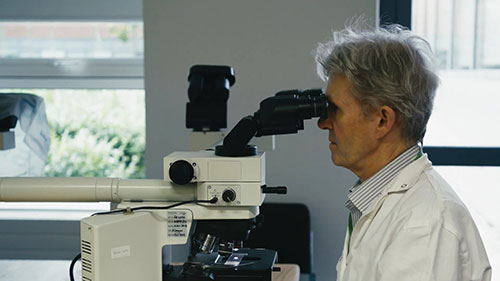 牛结核病原理及检测