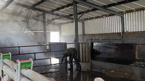 牛结核病后农场的清洁和消毒