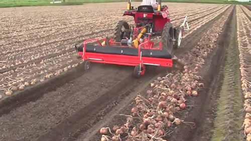 洋葱收割农用工具