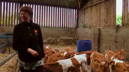 世界上最大的有机农场