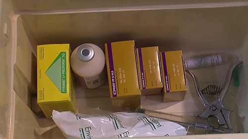 提高改良活疫苗接种效果