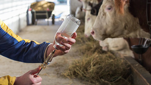 保证疫苗温度的重要性