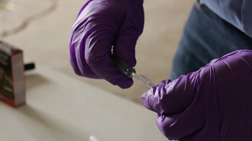 羊群护理和药物管理