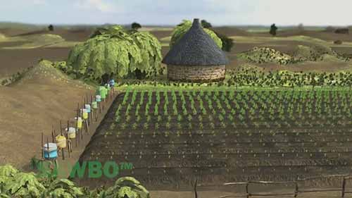 园艺中的滴灌技术