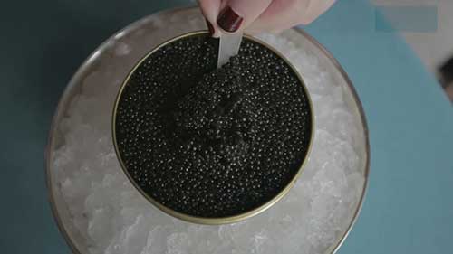 鱼子酱的生产和加工