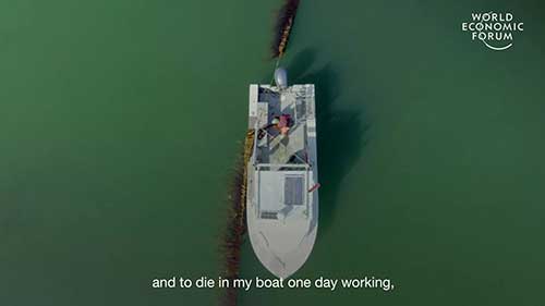 纽芬兰的一座海洋农场