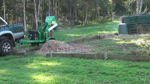 种植高粱供鸡食