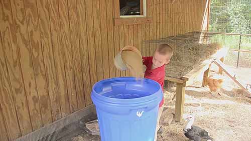 喂养鸡鸭最简单的方法