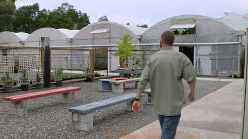 在澳大利亚学习园艺