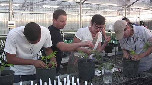 你喜欢园艺学吗