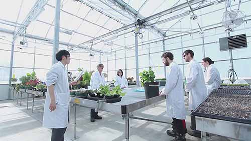 园艺技师的工作