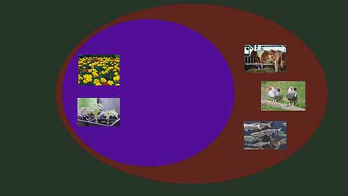 从事园艺相关工作