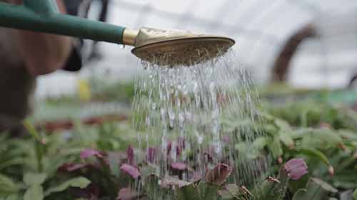 园艺与景观技术