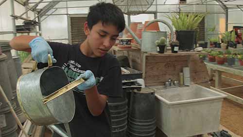 园艺生产夏令营