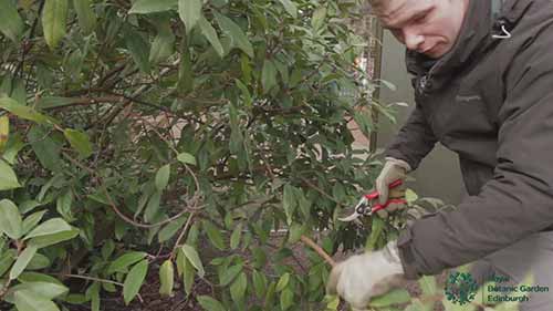 做一名园艺学徒