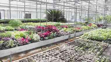 景观园艺与设计