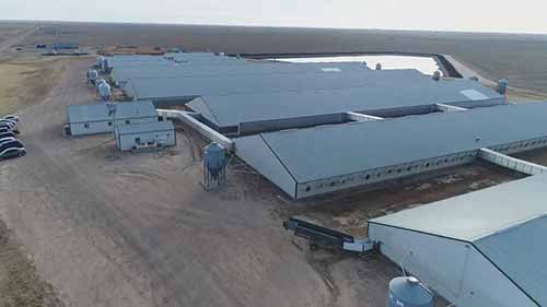 美国各地的工厂化农业