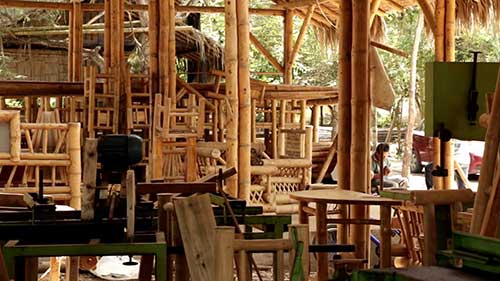 竹子，一种未来的产业