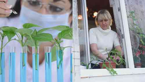 奇怪的杂交水果确实存在