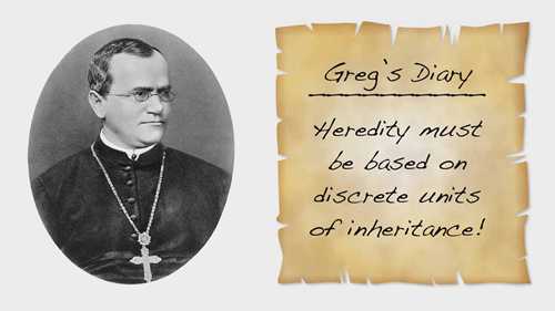 孟德尔遗传学和庞尼特方格