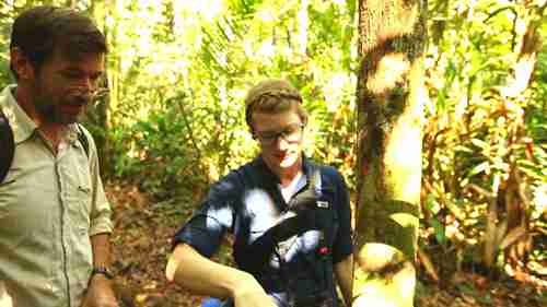 亚马逊地区树木调查