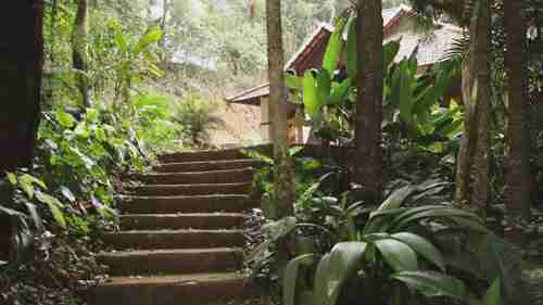 古鲁库拉植物保护区