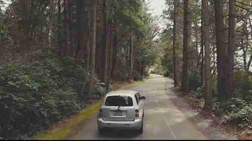 植物学家的旅程