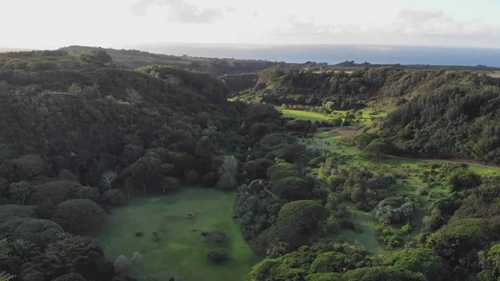 国家热带植物园