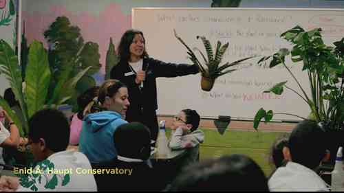 纽约植物园的科学教育