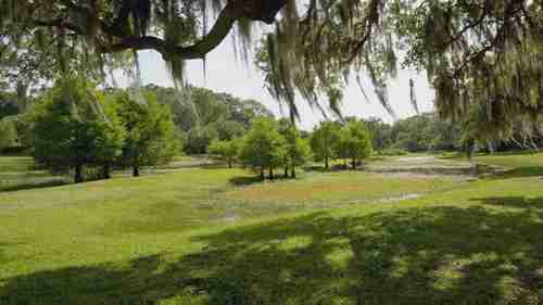 树木年代学概论