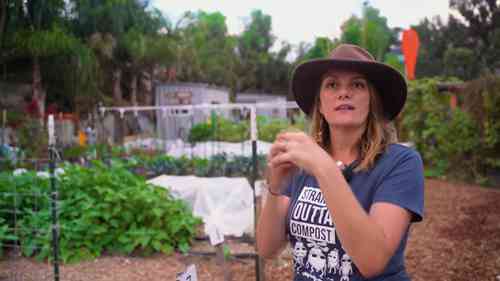 经营一个种子农场