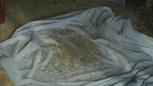 几种常见作物种子的保存