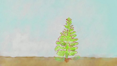 育种植物的选择