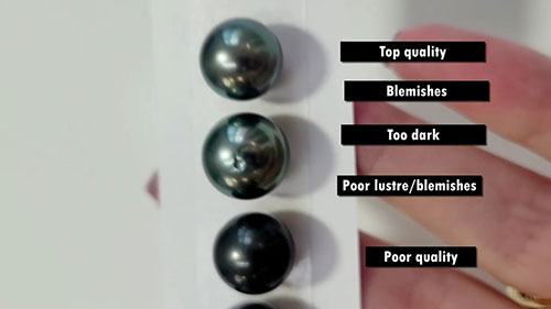 珍珠的形成和生长