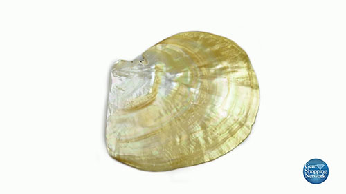 菲律宾的黄金珍珠