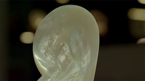 澳洲的南海珍珠