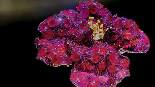 红宝石牡丹胸针