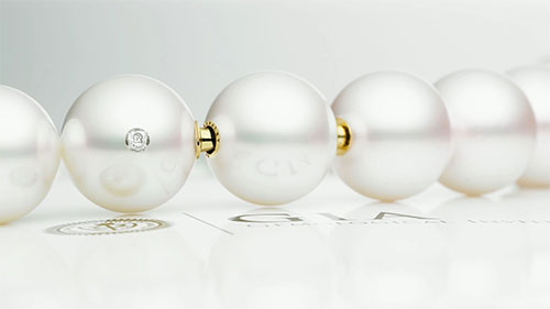 白色奇迹，南海珍珠