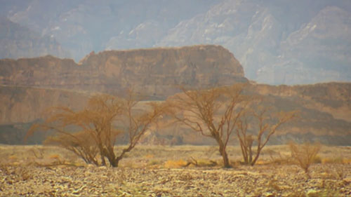 铜矿开采和冶炼