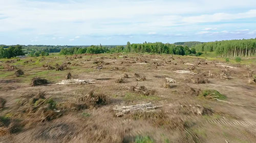 可再生和不可再生资源