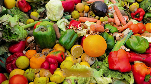 水果垃圾的利用