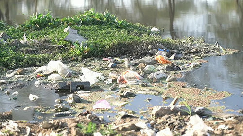 可生物降解的餐具