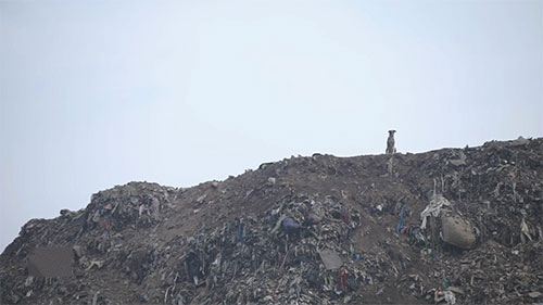 废物的综合管理