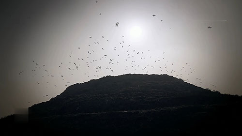 有机废物转为堆肥