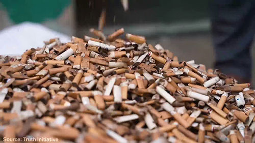 烟头制成毛绒玩具