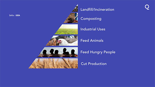 食物垃圾制成鸡饲料