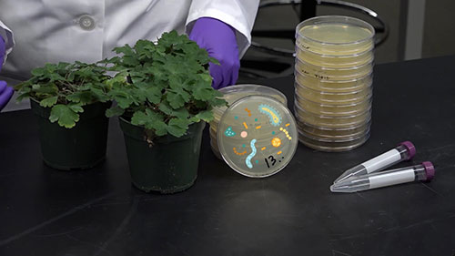 如何处理实验室废物