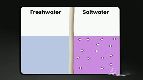 海水淡化工作原理