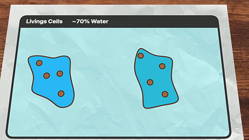 海水淡化和脱盐